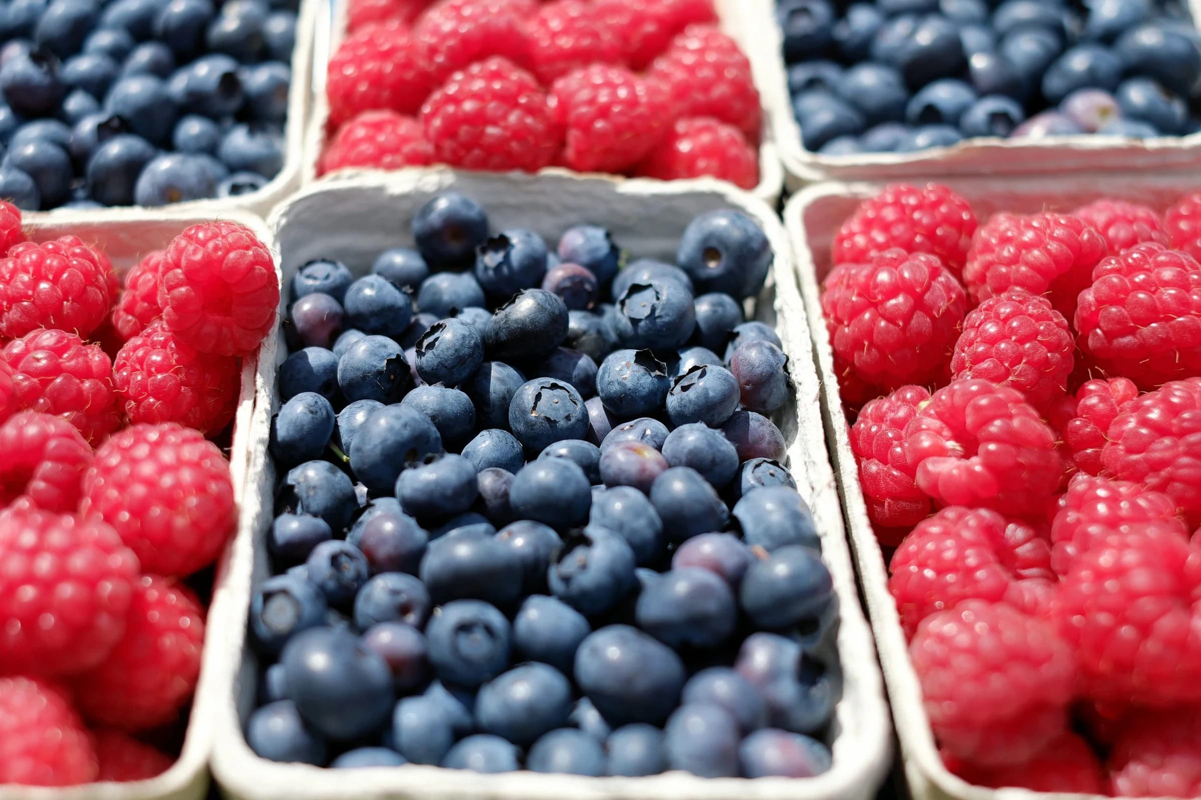 Tigard Area Farmers' Market photo 4