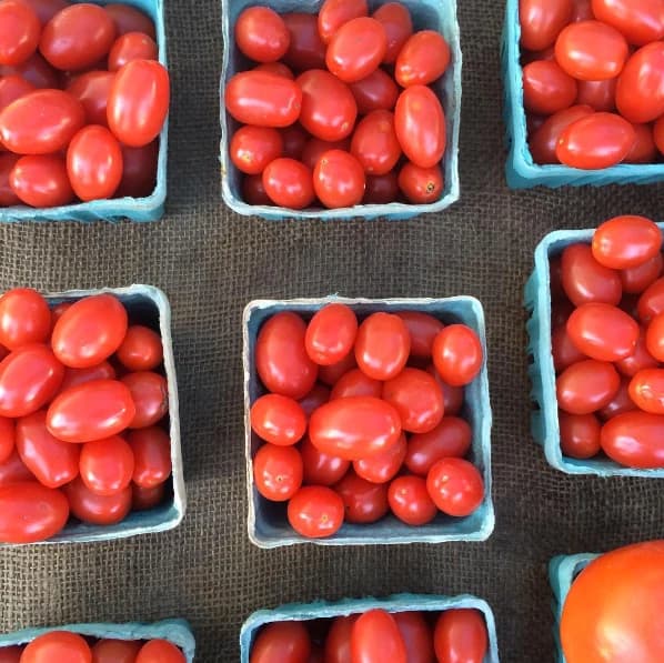 Northbrook Farmers Market photo 3