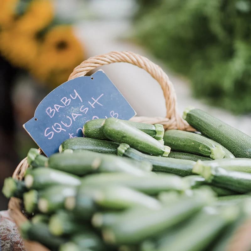Ketchum Farmers' Market photo 5