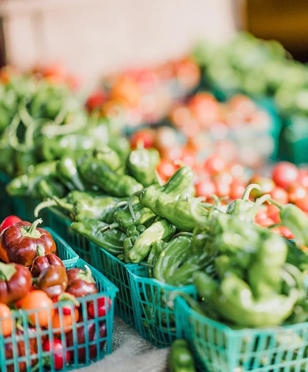 Ketchum Farmers' Market photo 3