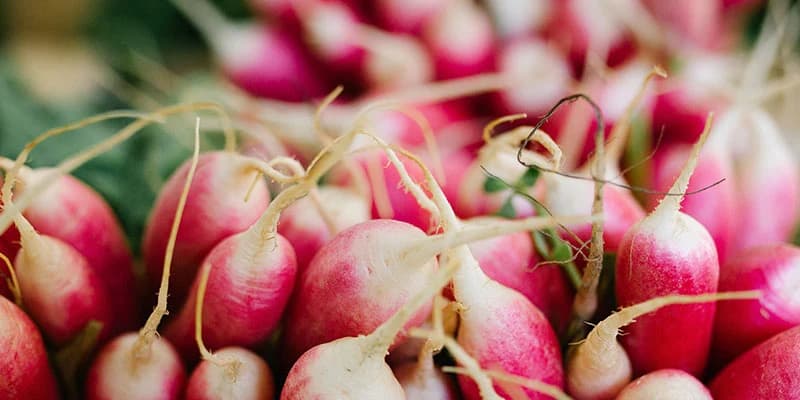 Ketchum Farmers' Market photo 4
