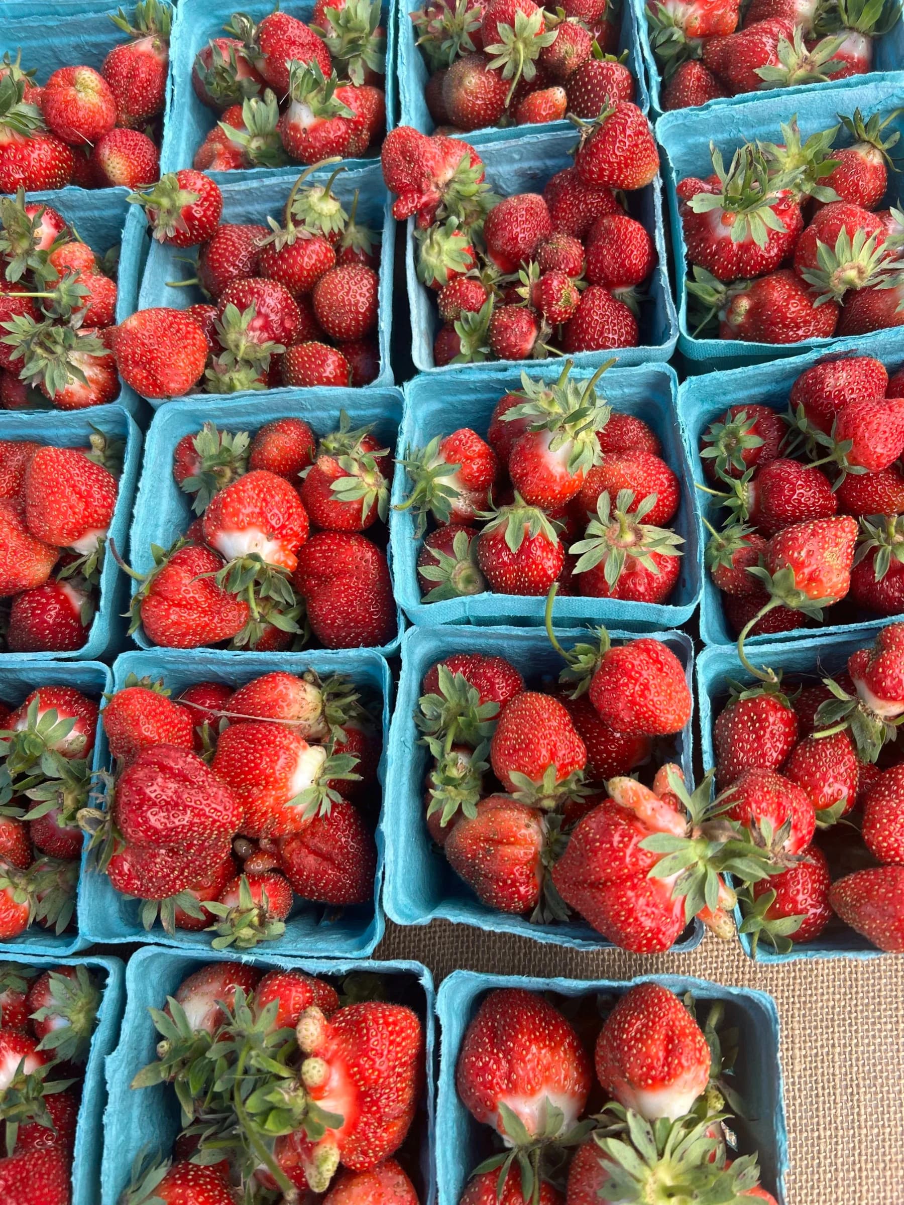 Bangor Farmers' Market photo 3