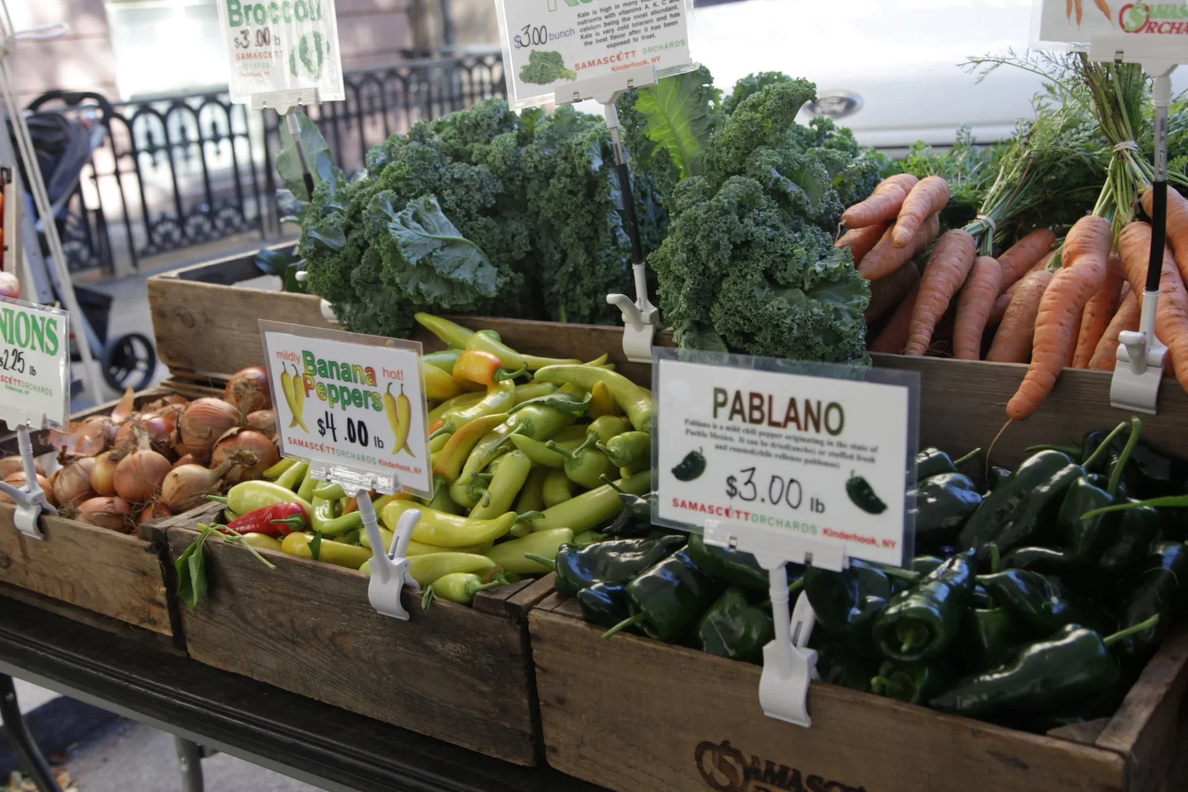 Troy Waterfront Farmers Market photo 4