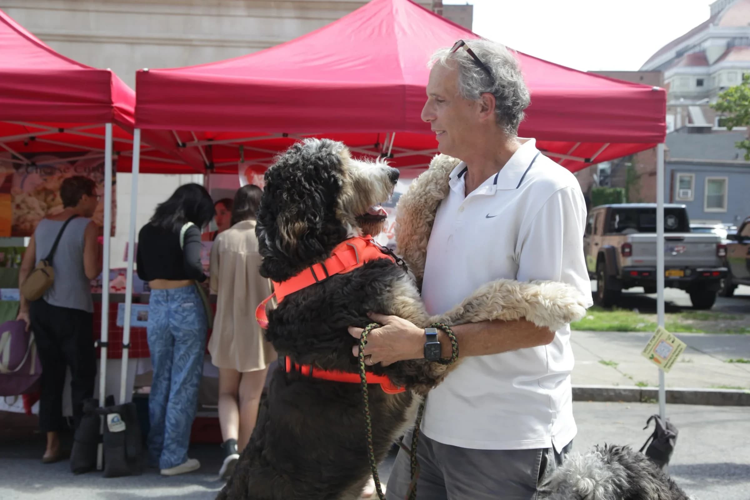 Troy Waterfront Farmers Market photo 2