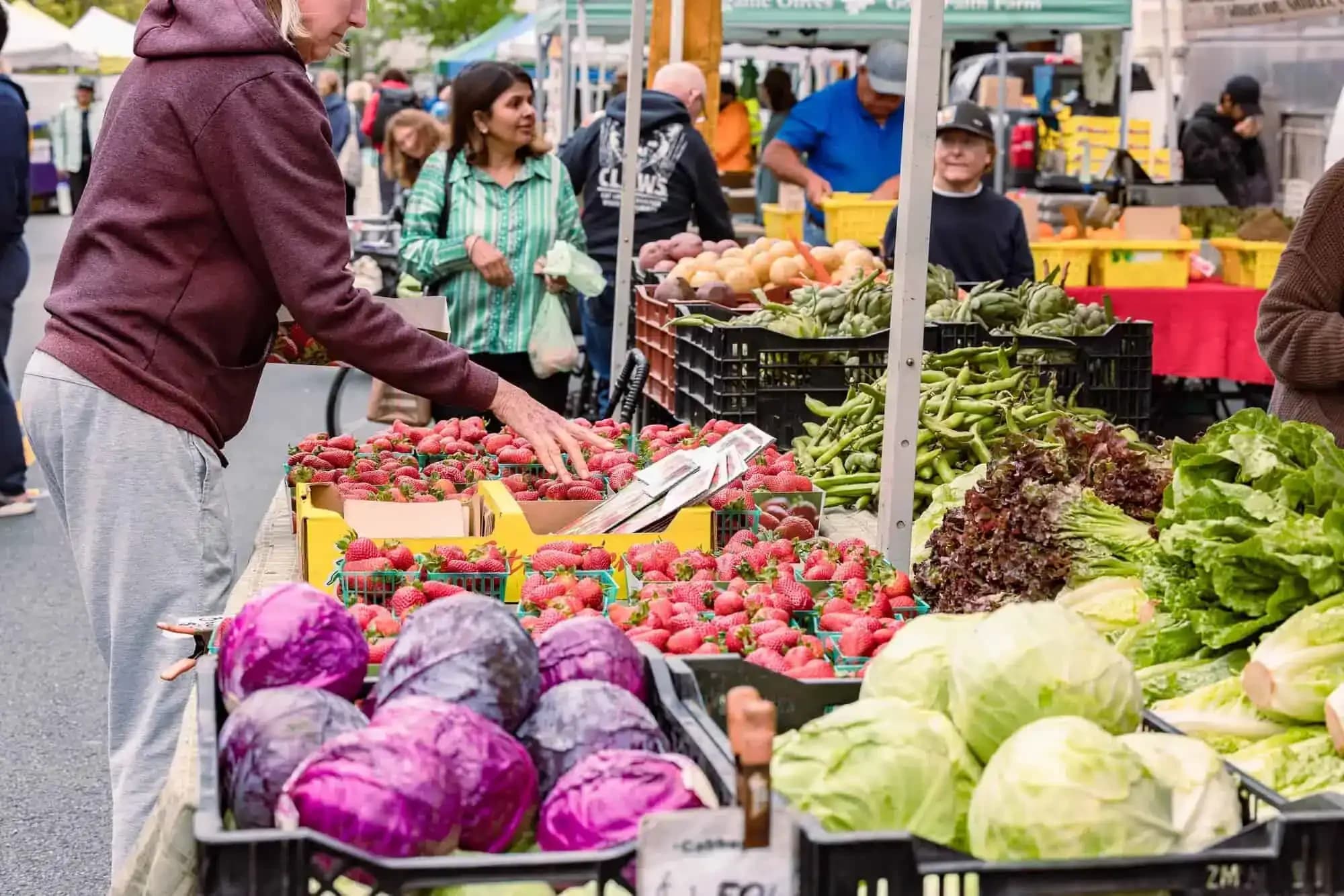 South Berkeley Farmers' Market photo 2