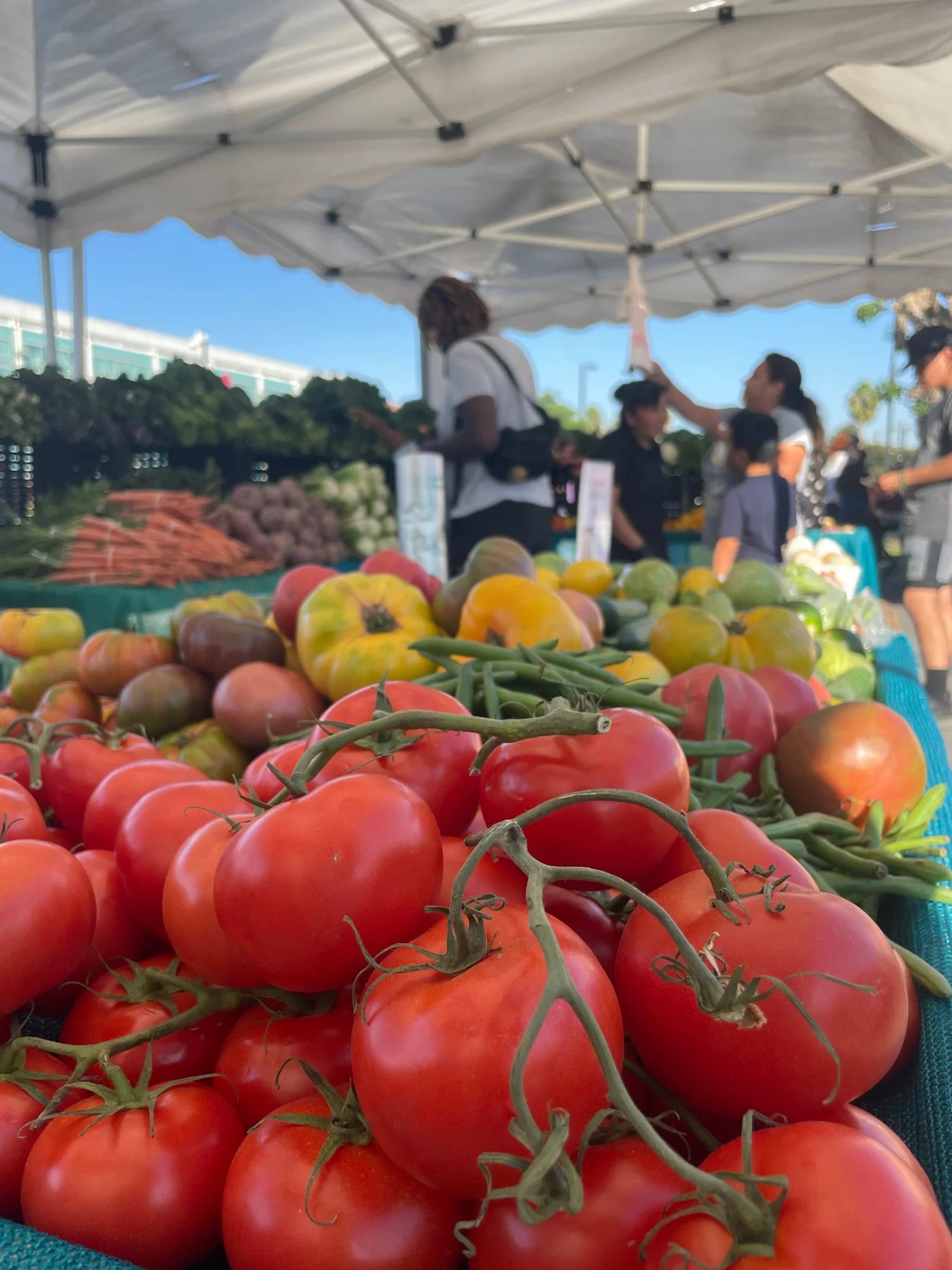 Hollywood Farmers' Market photo 4