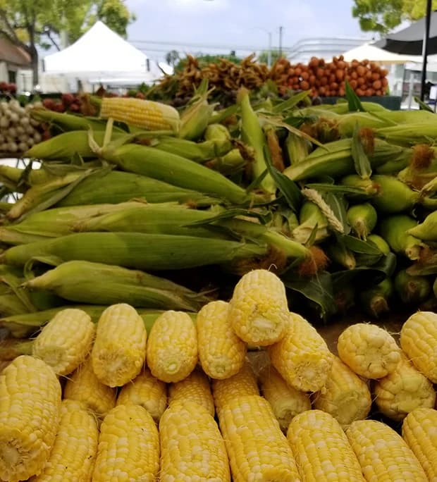 Culver City Farmers Market photo 3