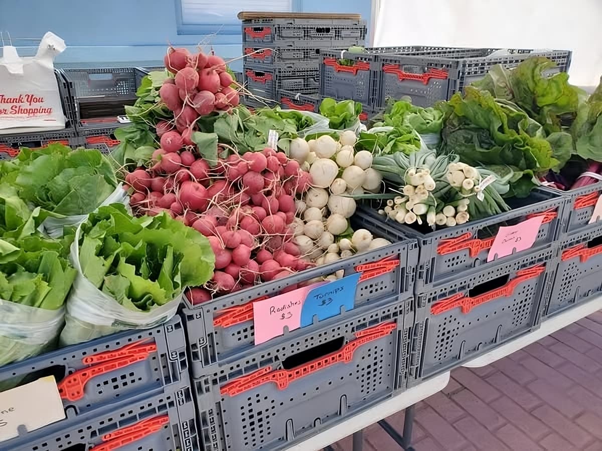 Belleville Farmers Market photo 2