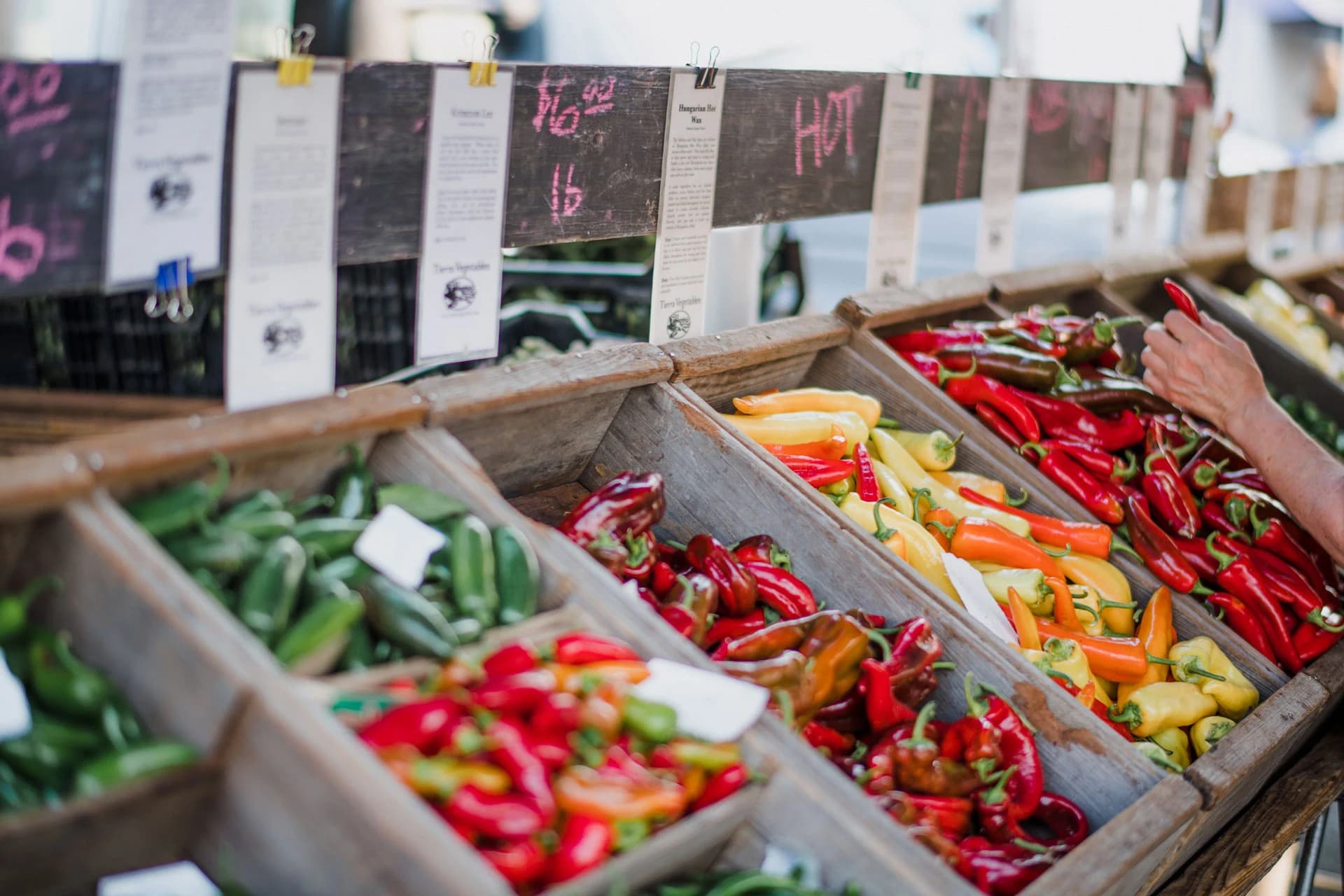 Forest Hills Farmers Market photo 3