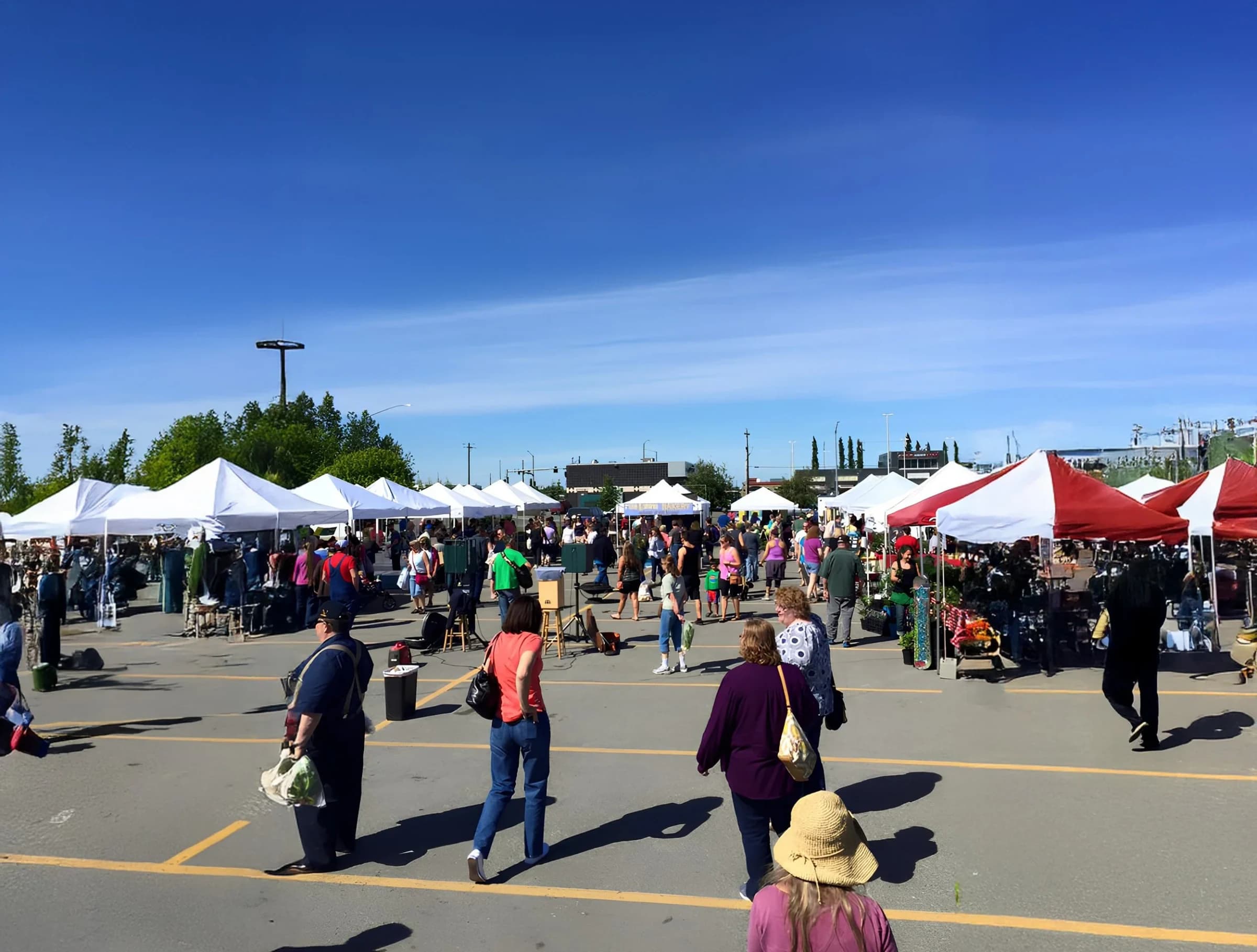 South Anchorage Wednesday Market photo 5