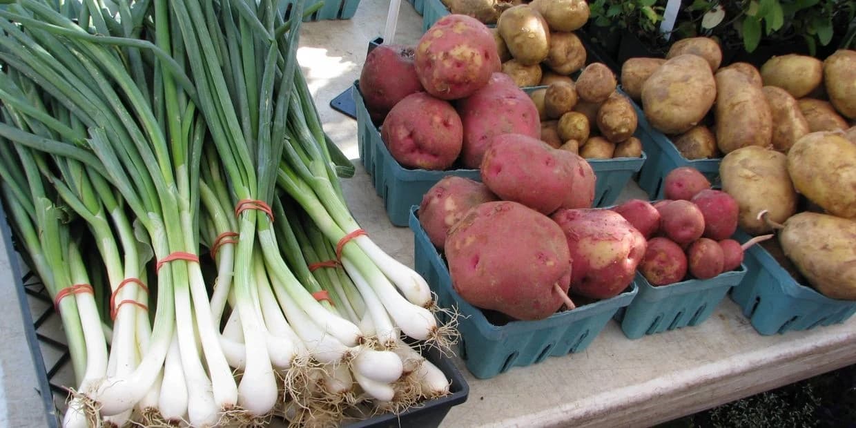 Roadrunner Farmers Market photo 4