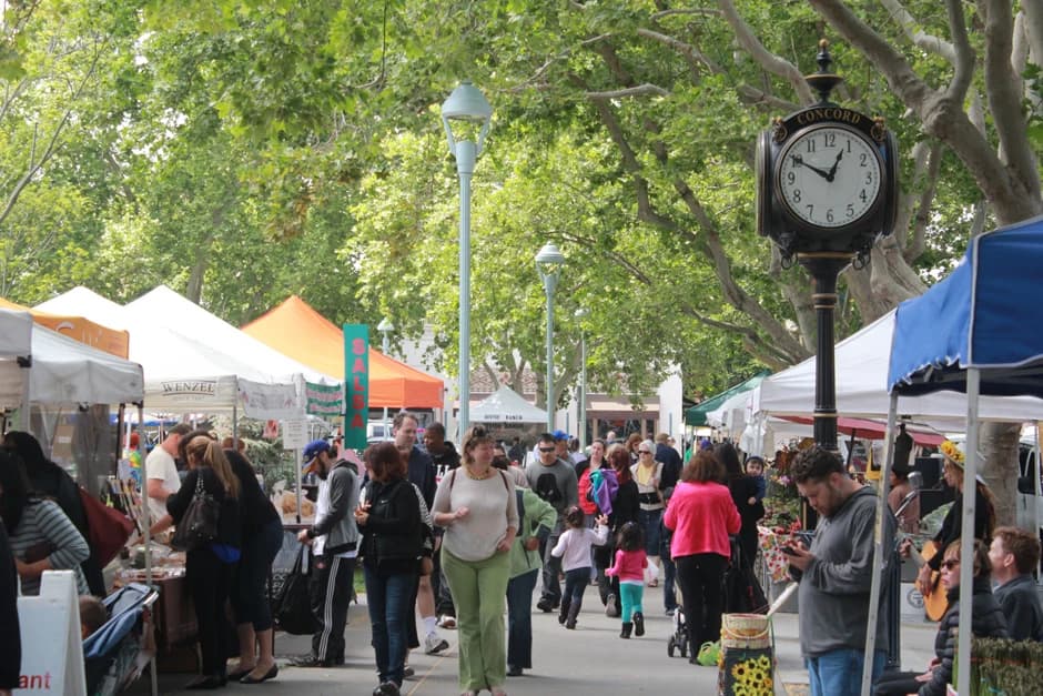Concord Farmers' Market photo 3