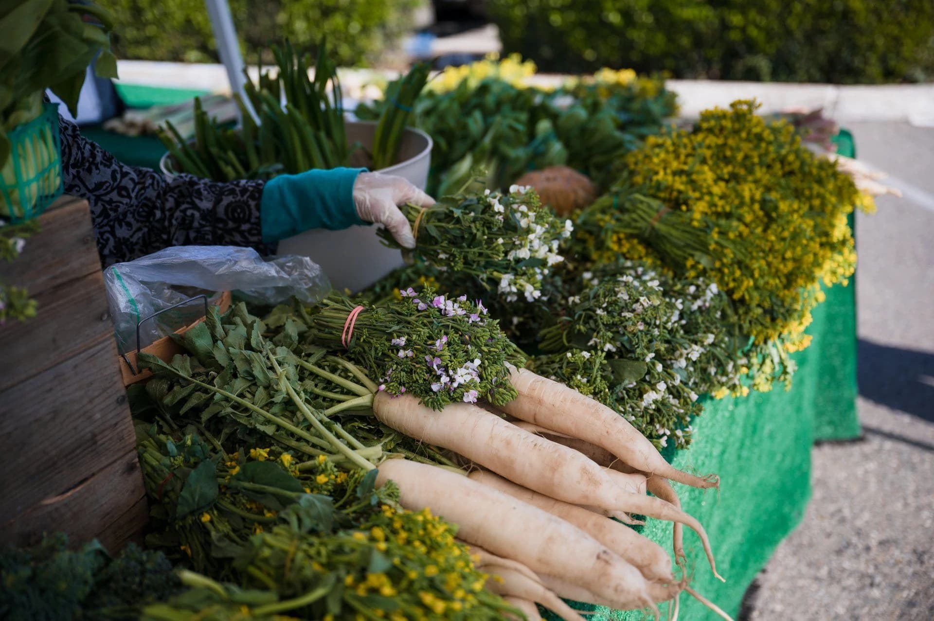 Visalia Farmers' Market photo 2