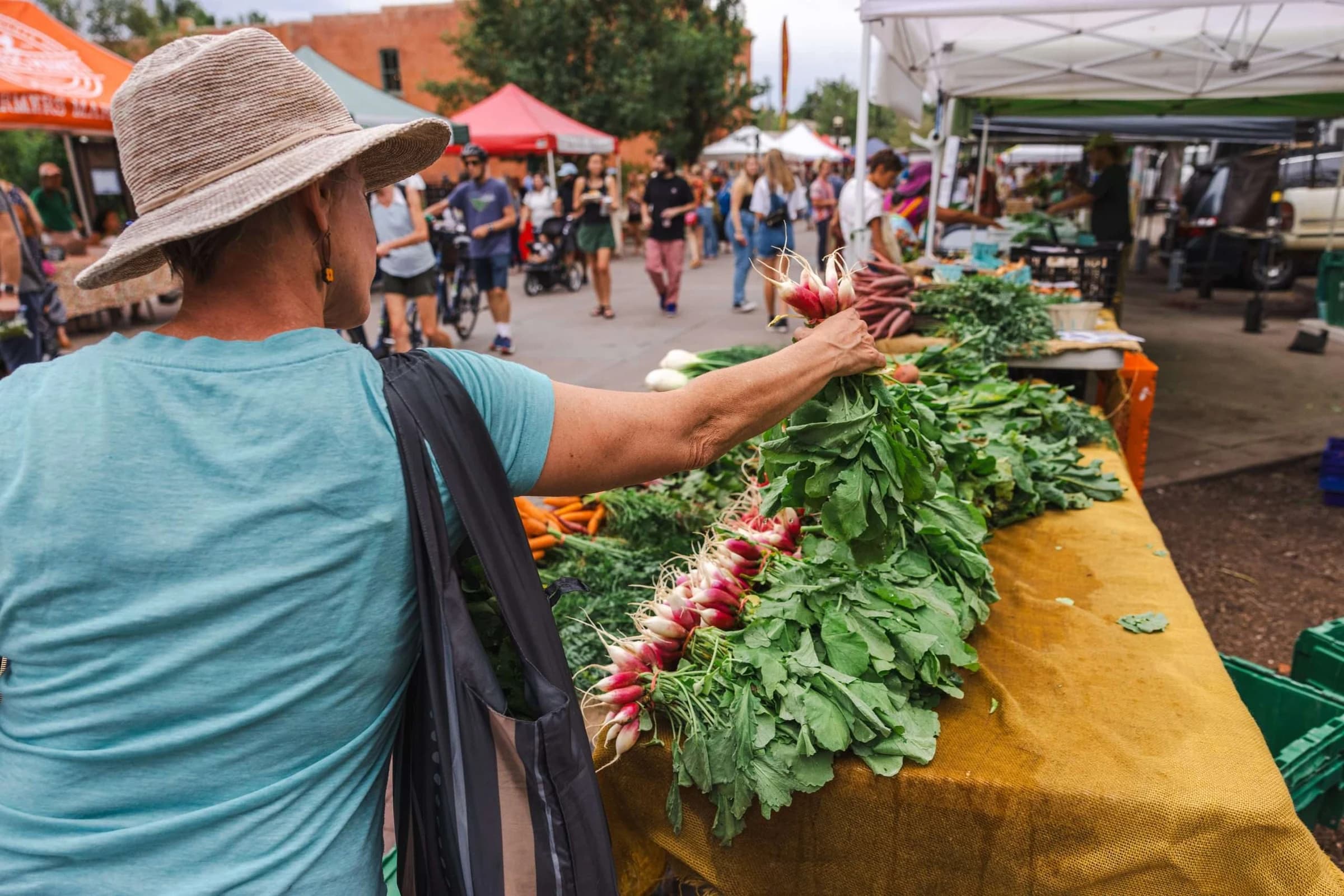 Boulder County Farmers' Market photo 3