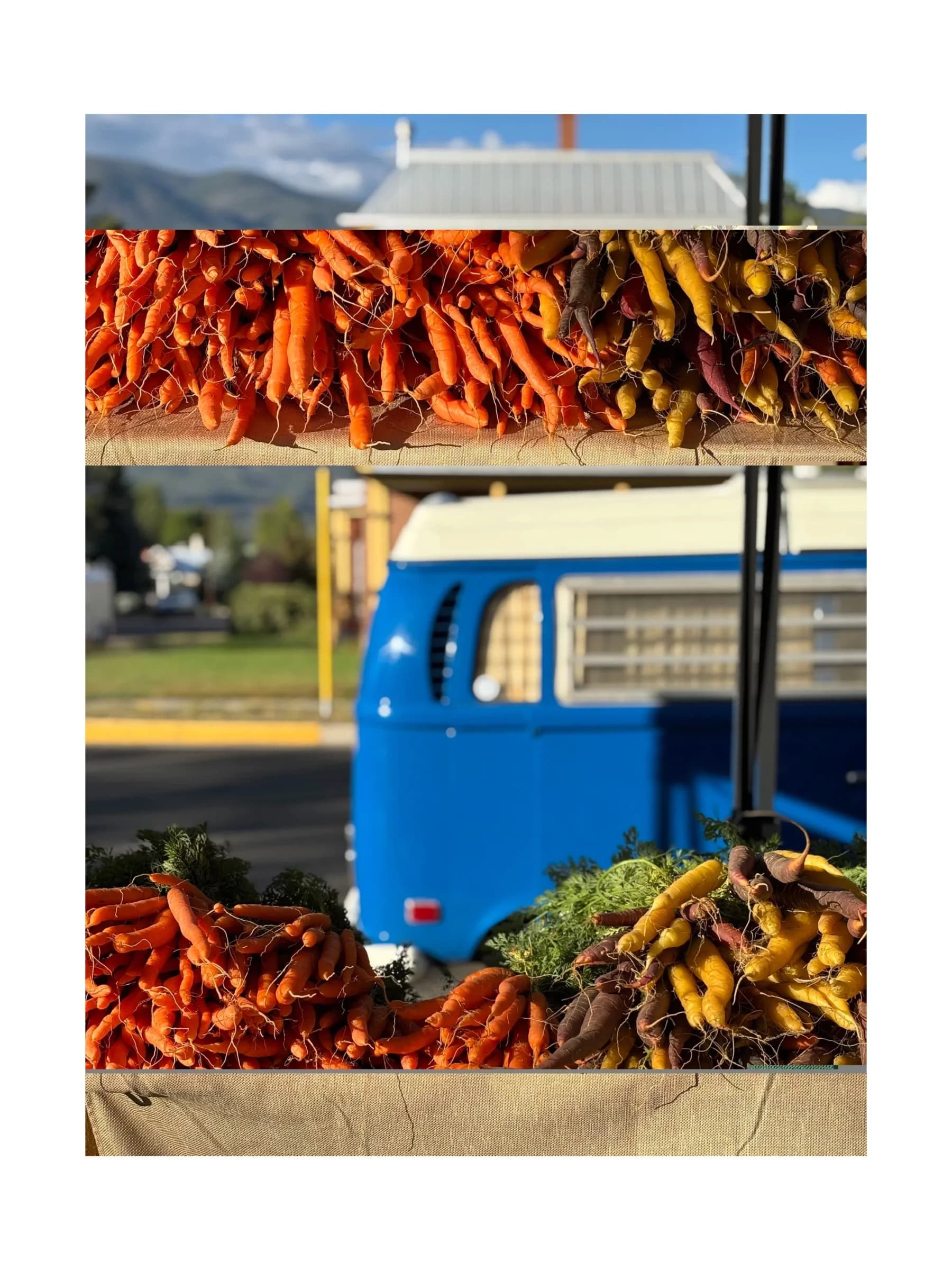 Salida Farmers Market photo 5
