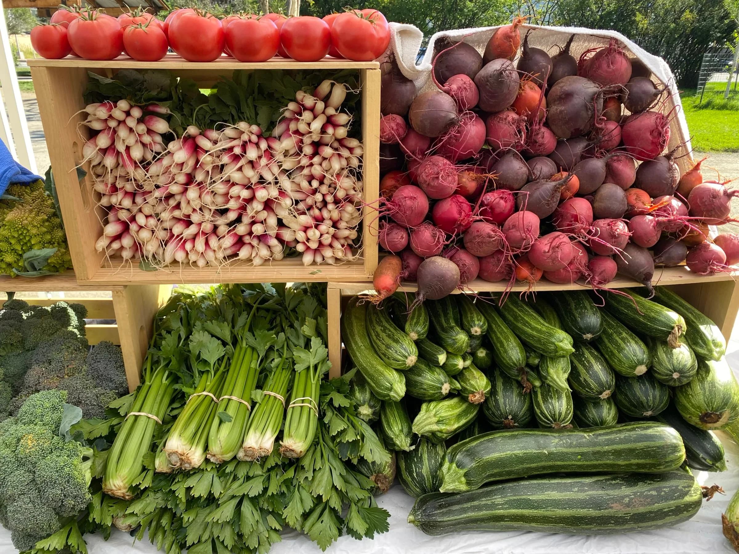 Salida Farmers Market photo 2