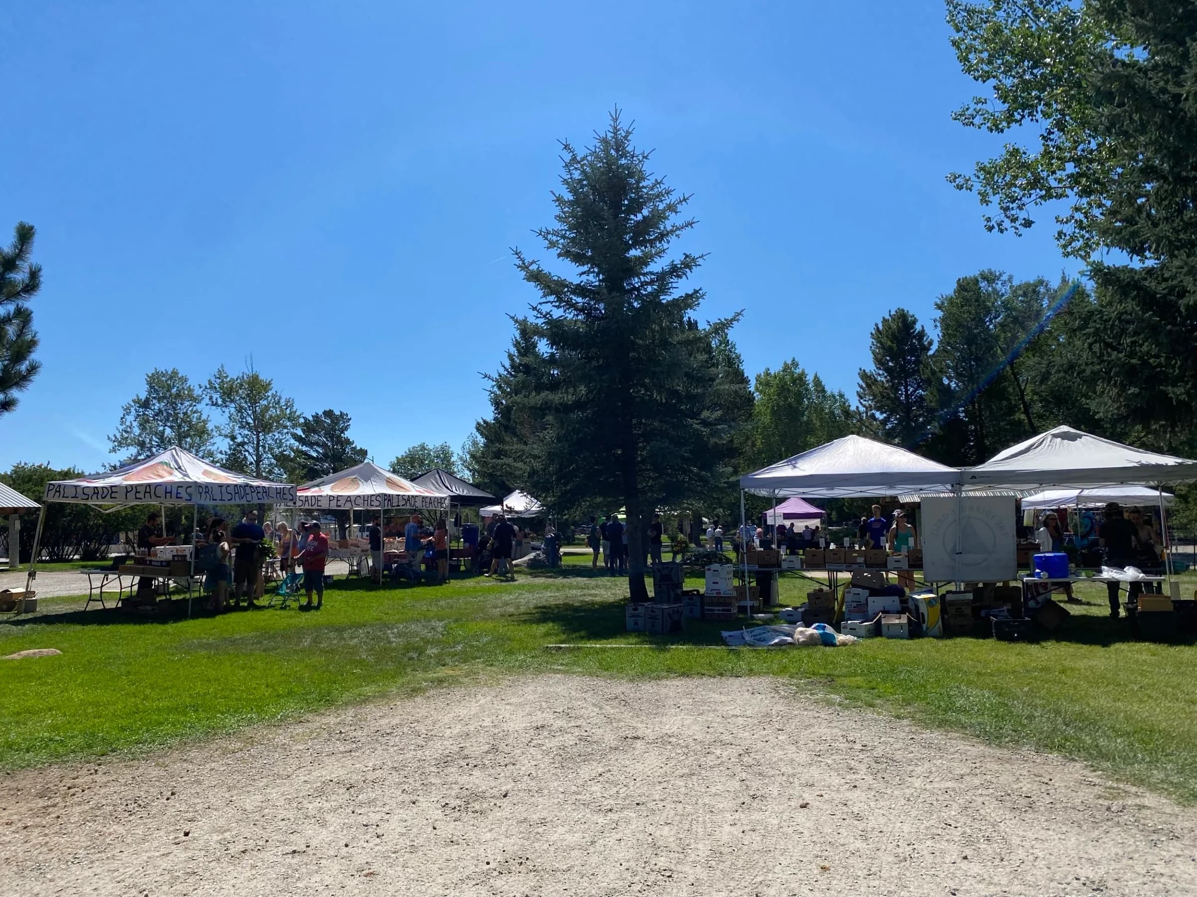 Salida Farmers Market photo 4