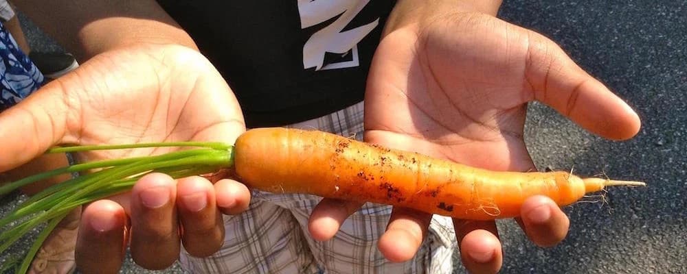 Truro Educational Farmers' Market photo 3