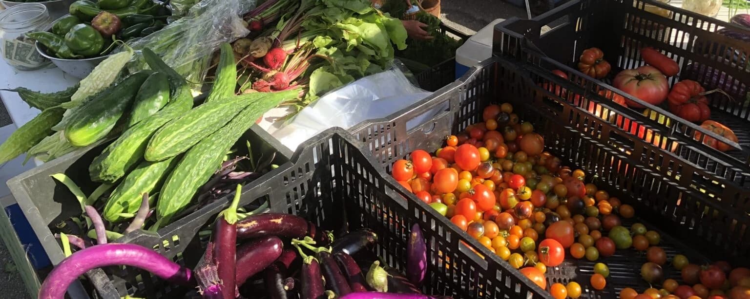 Truro Educational Farmers' Market photo 2