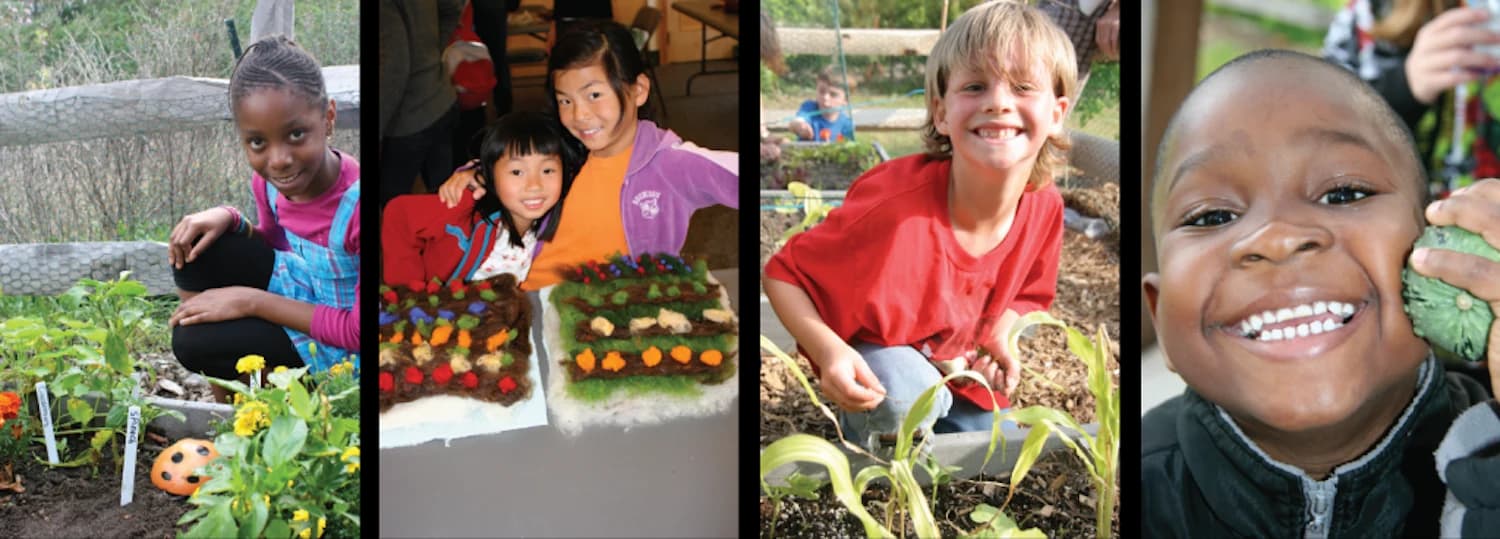 Truro Educational Farmers' Market photo 4