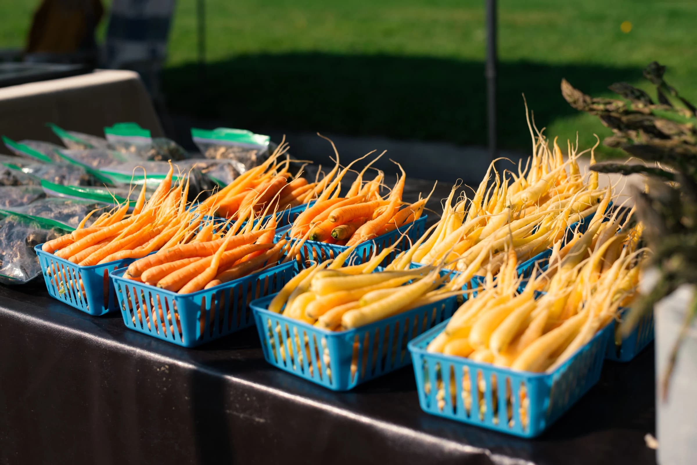 Clark Fork Market photo 3