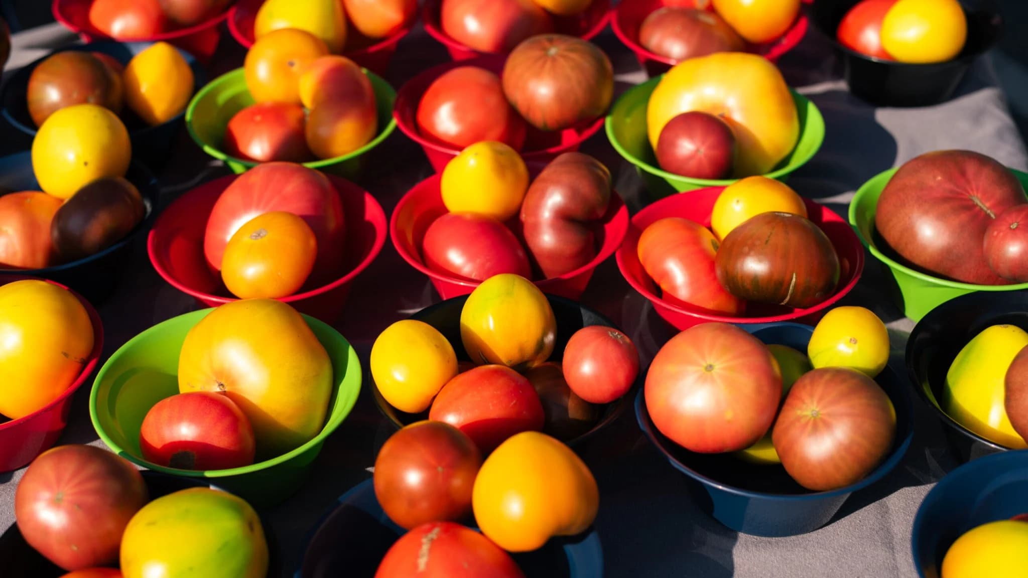 Clark Fork Market photo 5