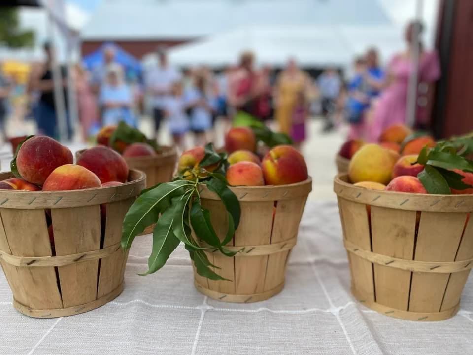 Burlington County Farmers' Market photo 4