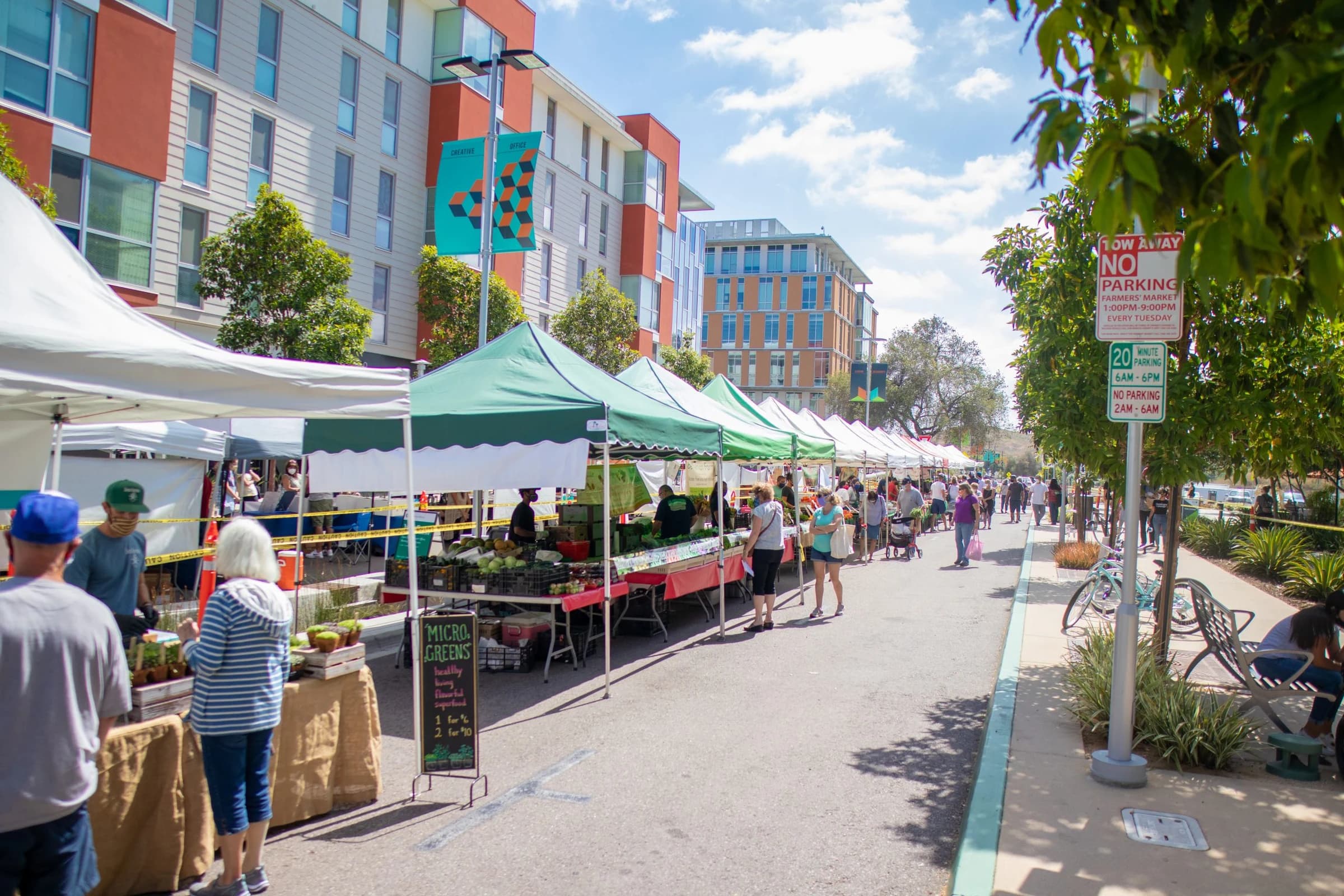 San Marcos Farmers' Market photo 3