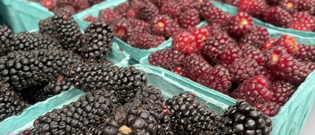 Lake Oswego Farmers' Market photo 4