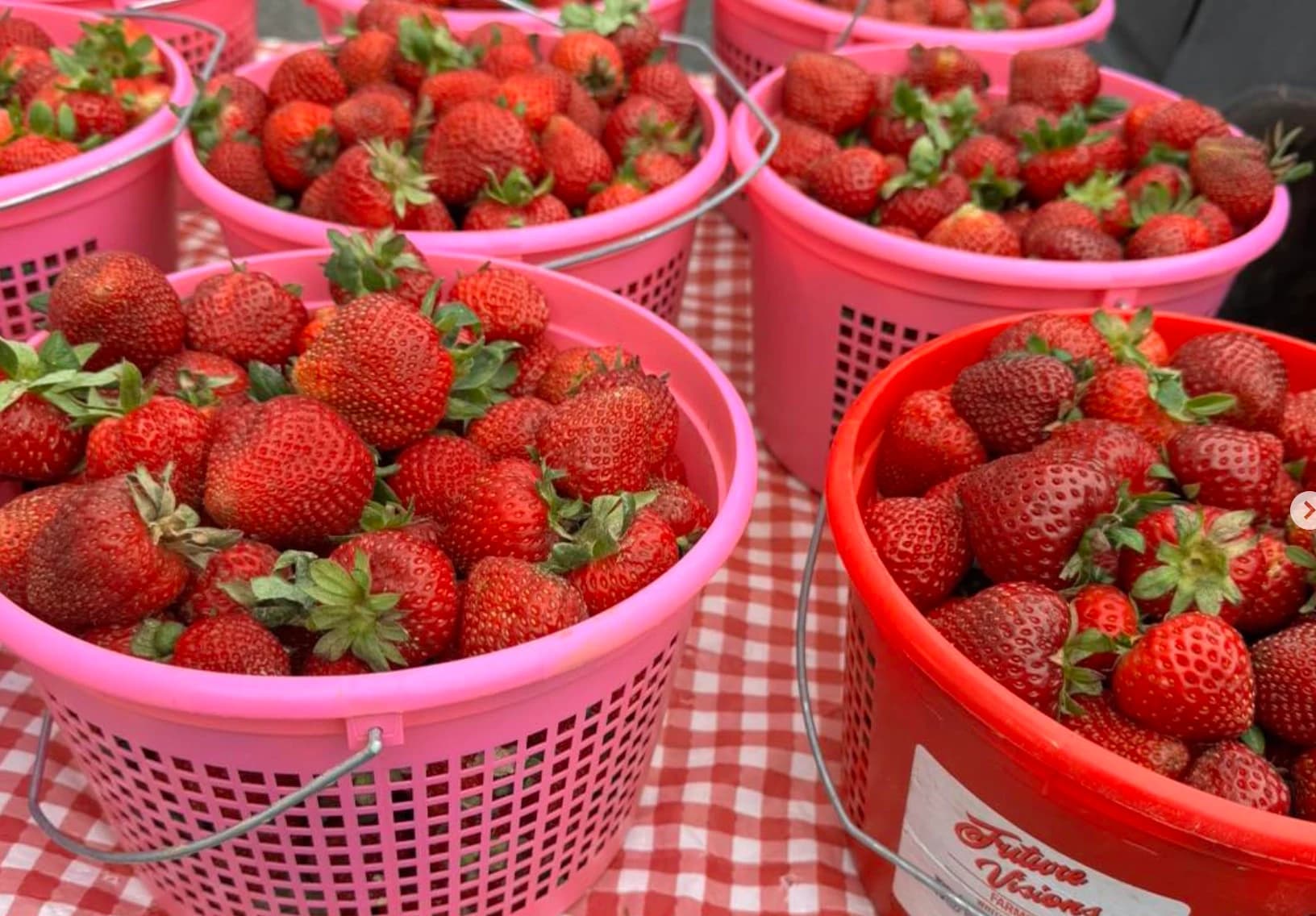 Downtown Farmers Market photo 3