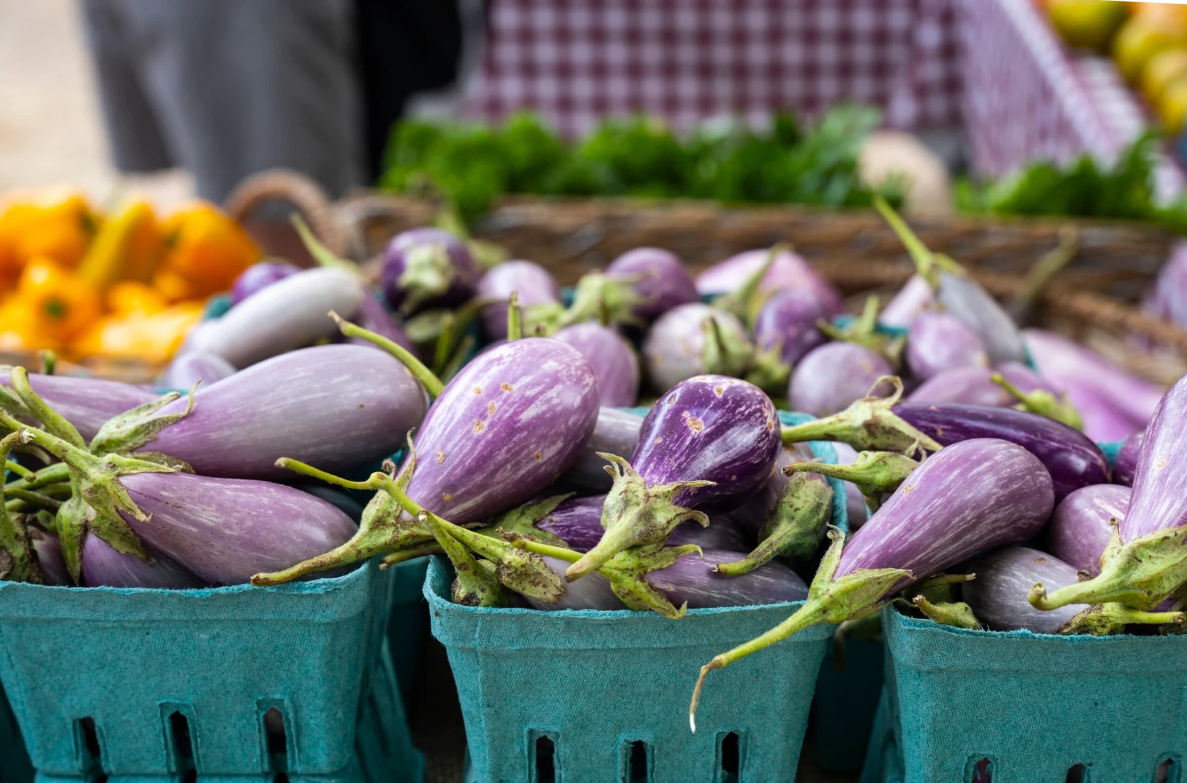 Historic Lewes Farmers Market photo 4