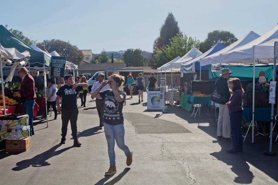 San Mateo Farmers' Market photo 2