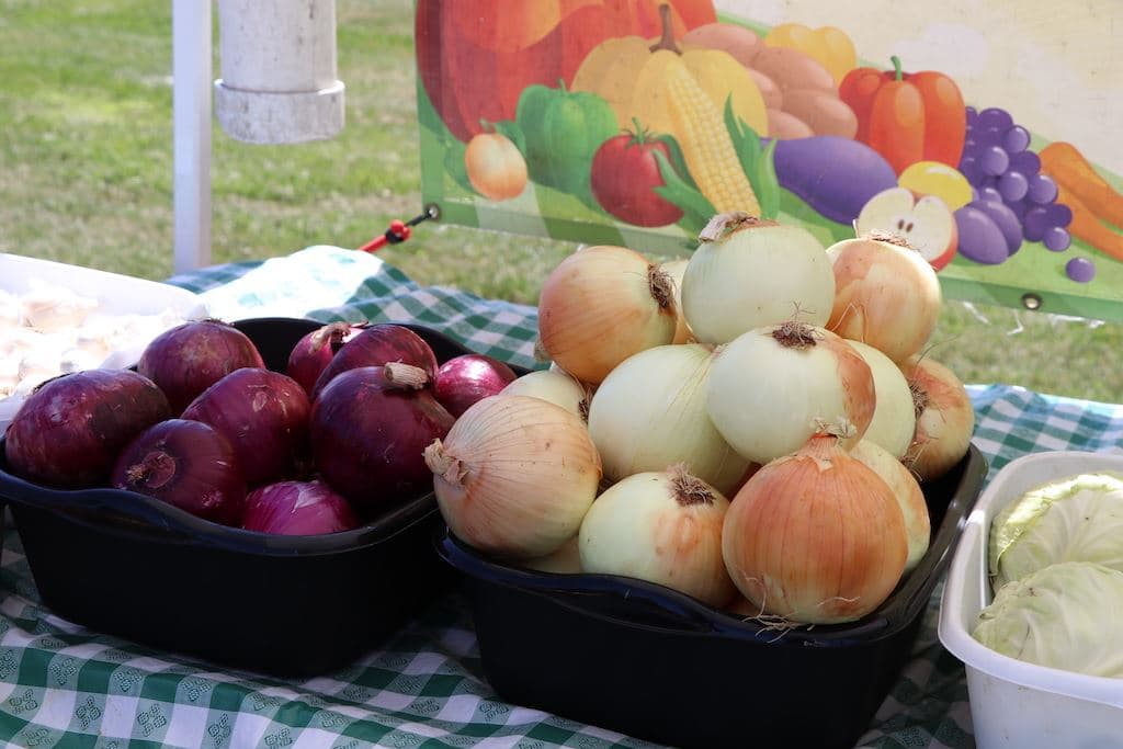 Lake Zurich Farmers Market photo 4