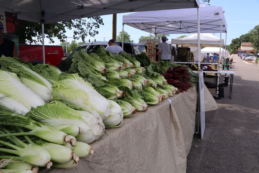 Lake Zurich Farmers Market photo 5
