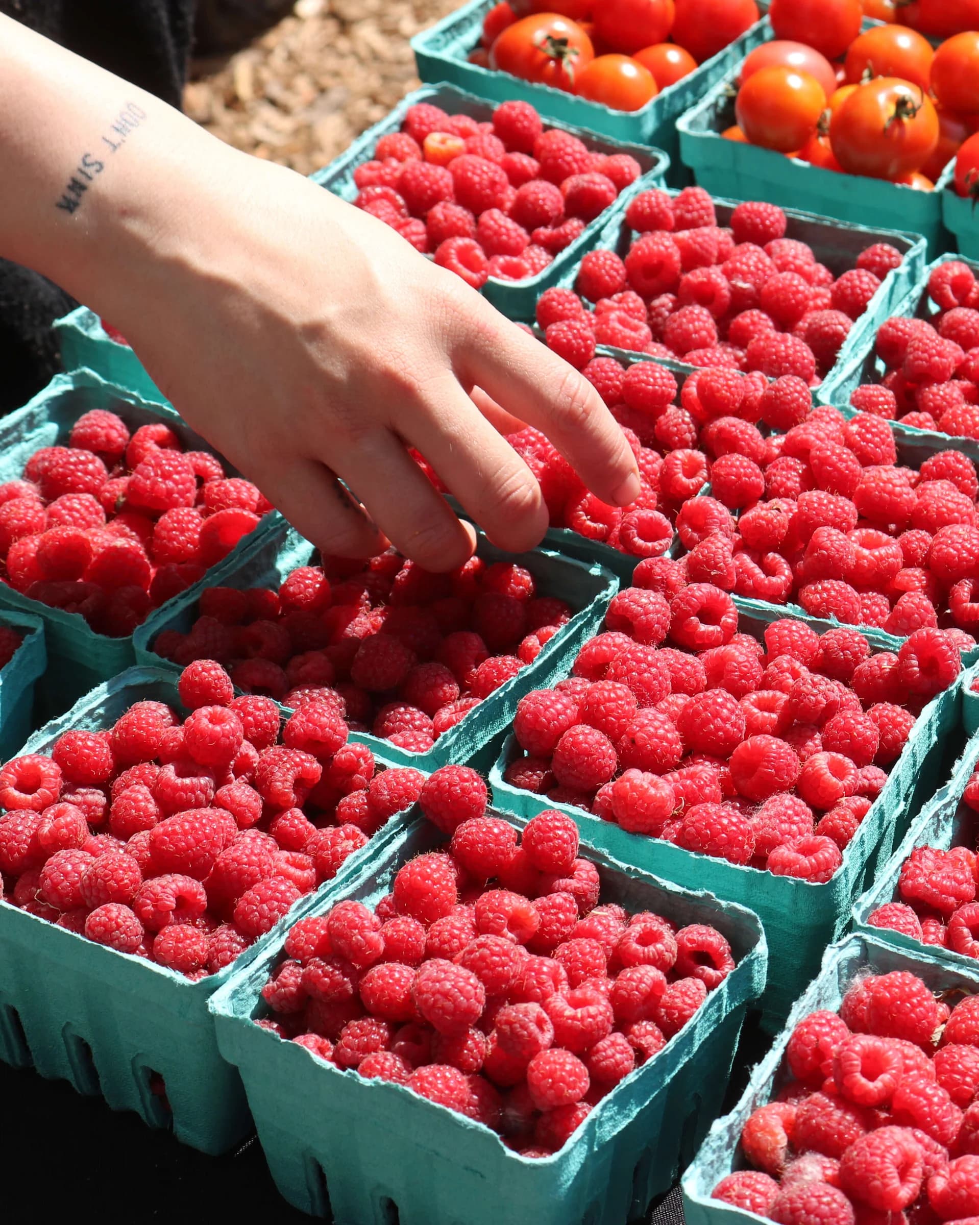 Wicker Park Farmers Market photo 4