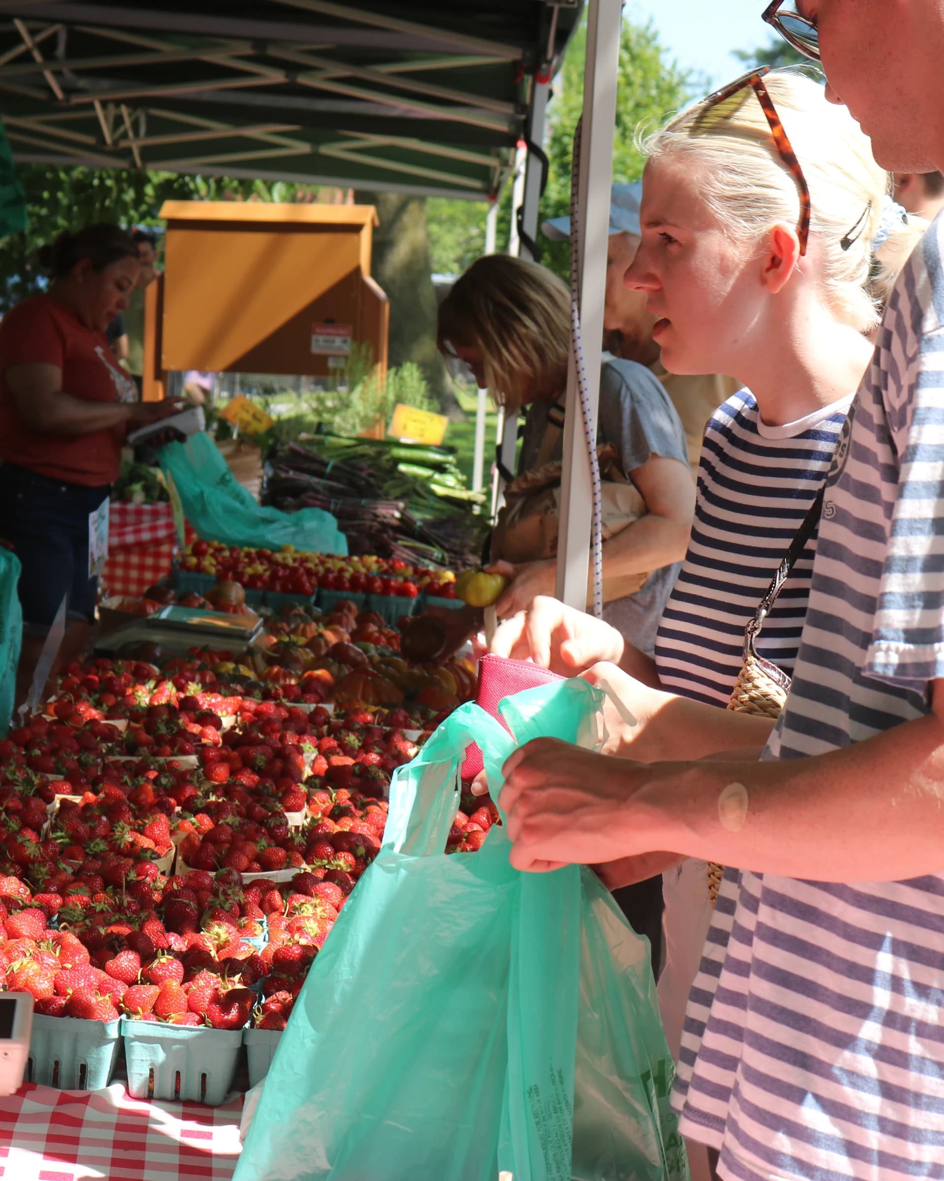 Wicker Park Farmers Market photo 5