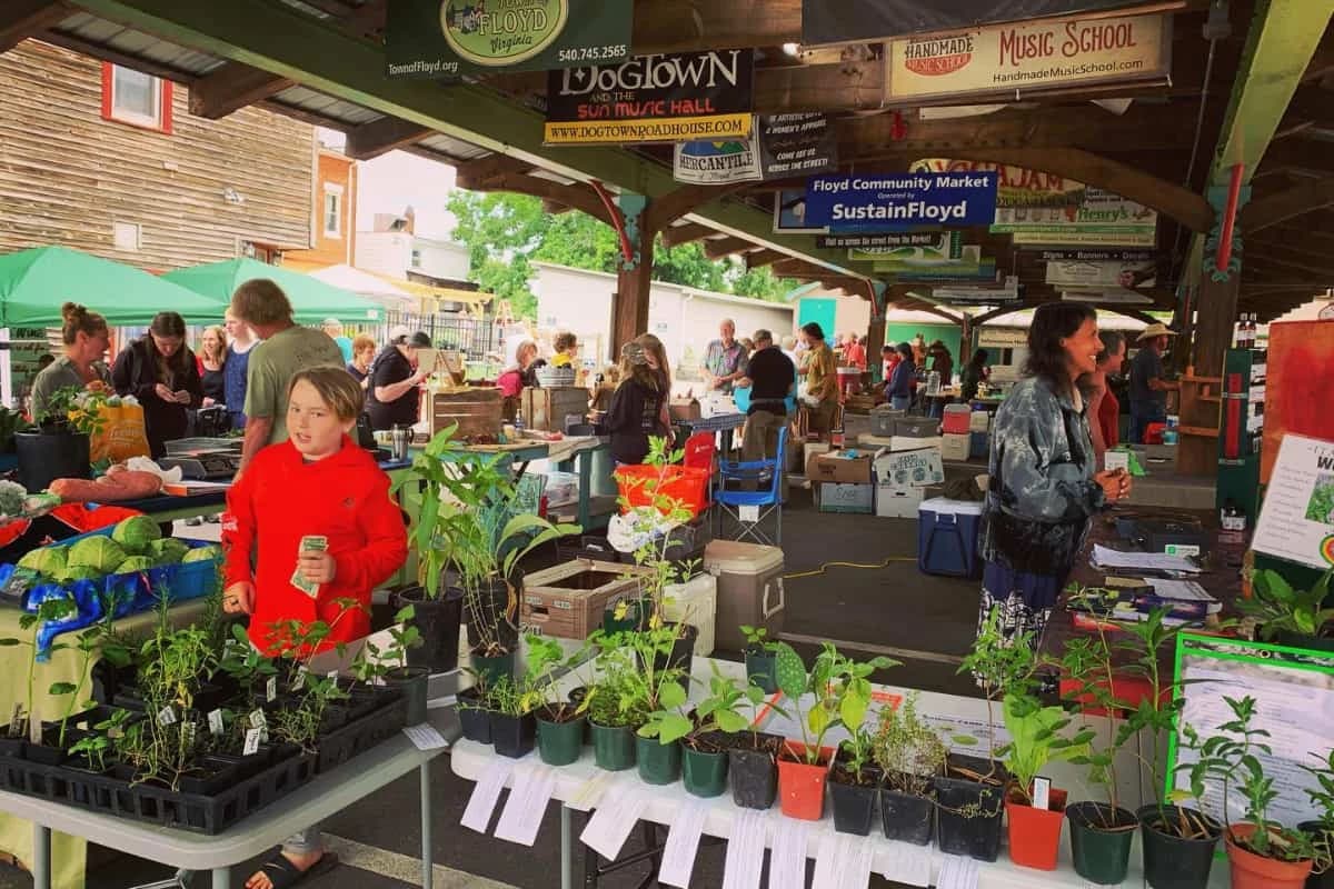 Floyd Farmers Market photo 3