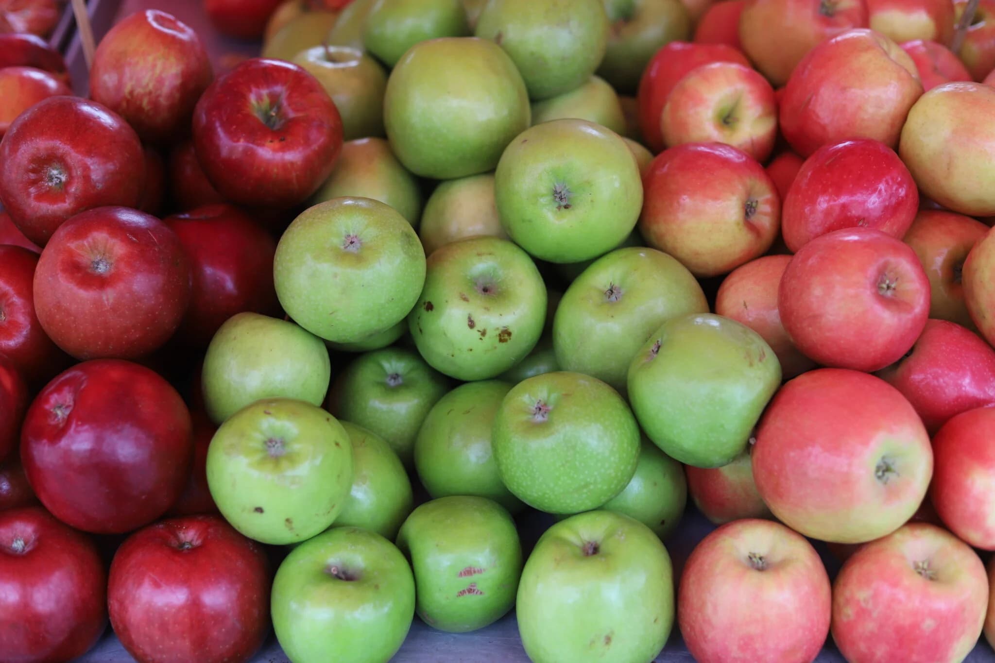 Tacoma Farmers Market photo 2