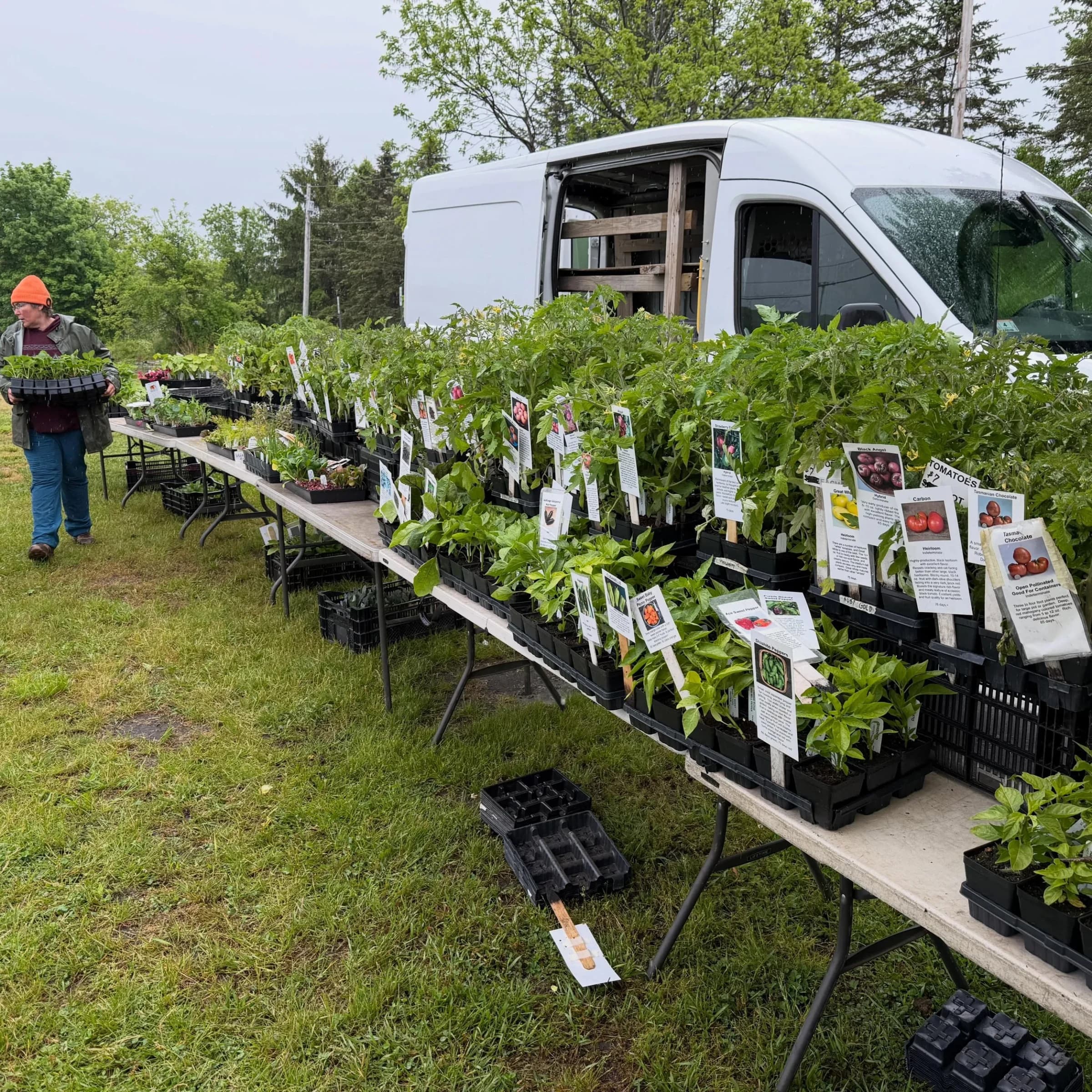 Tiverton Summer Farmer's Market photo 3