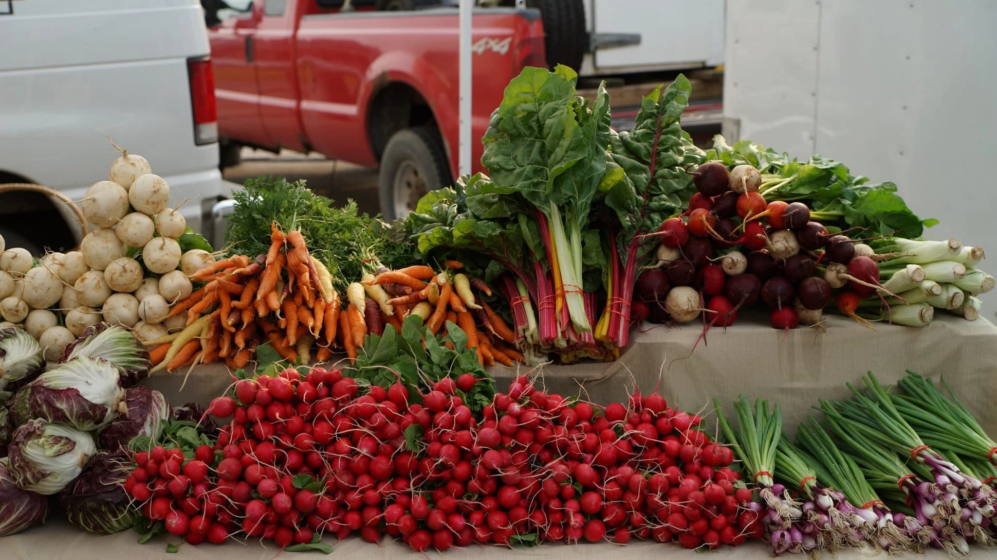Mill City Farmers Market photo 2