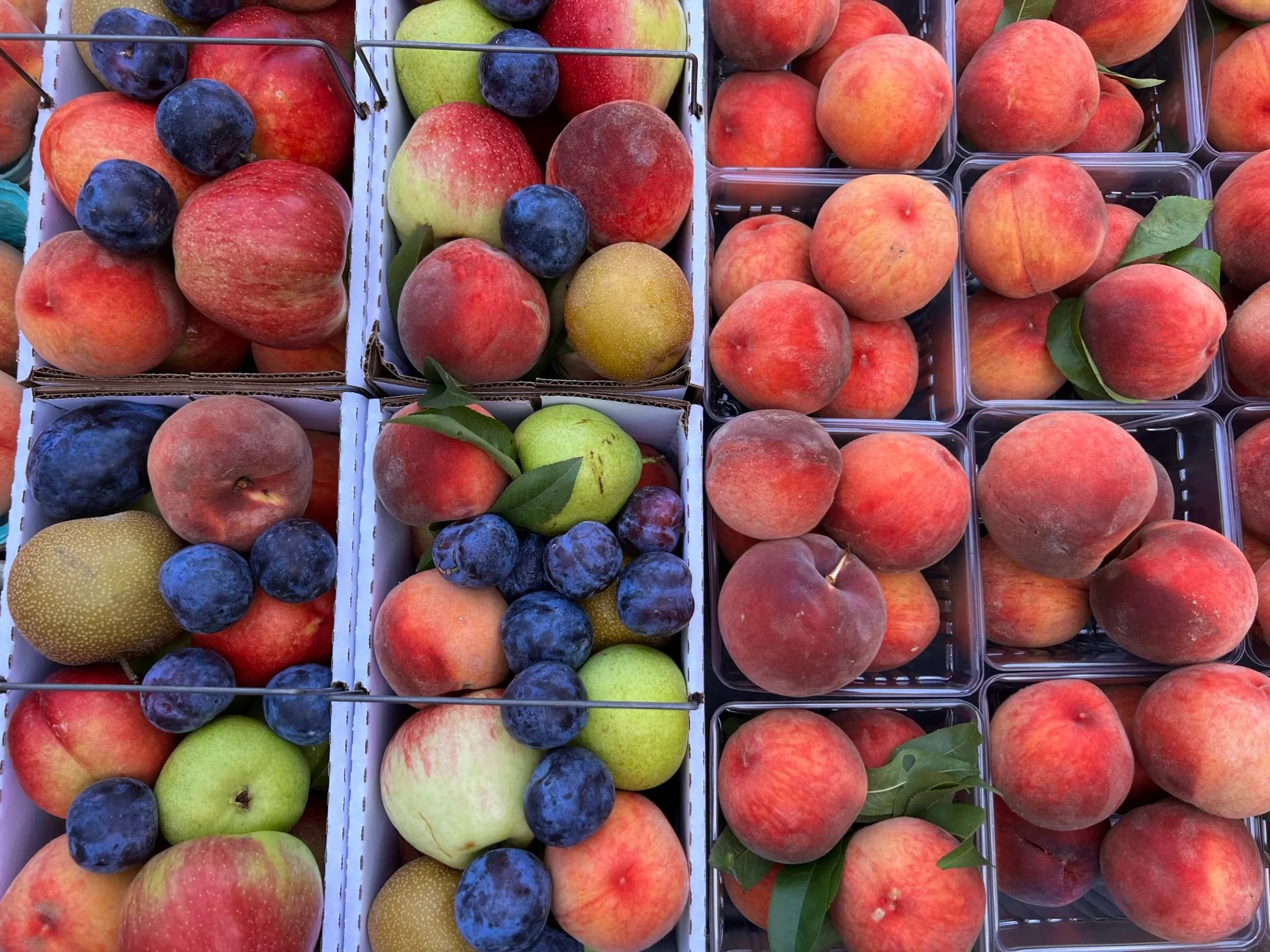 Worthington Farmers Market photo 2