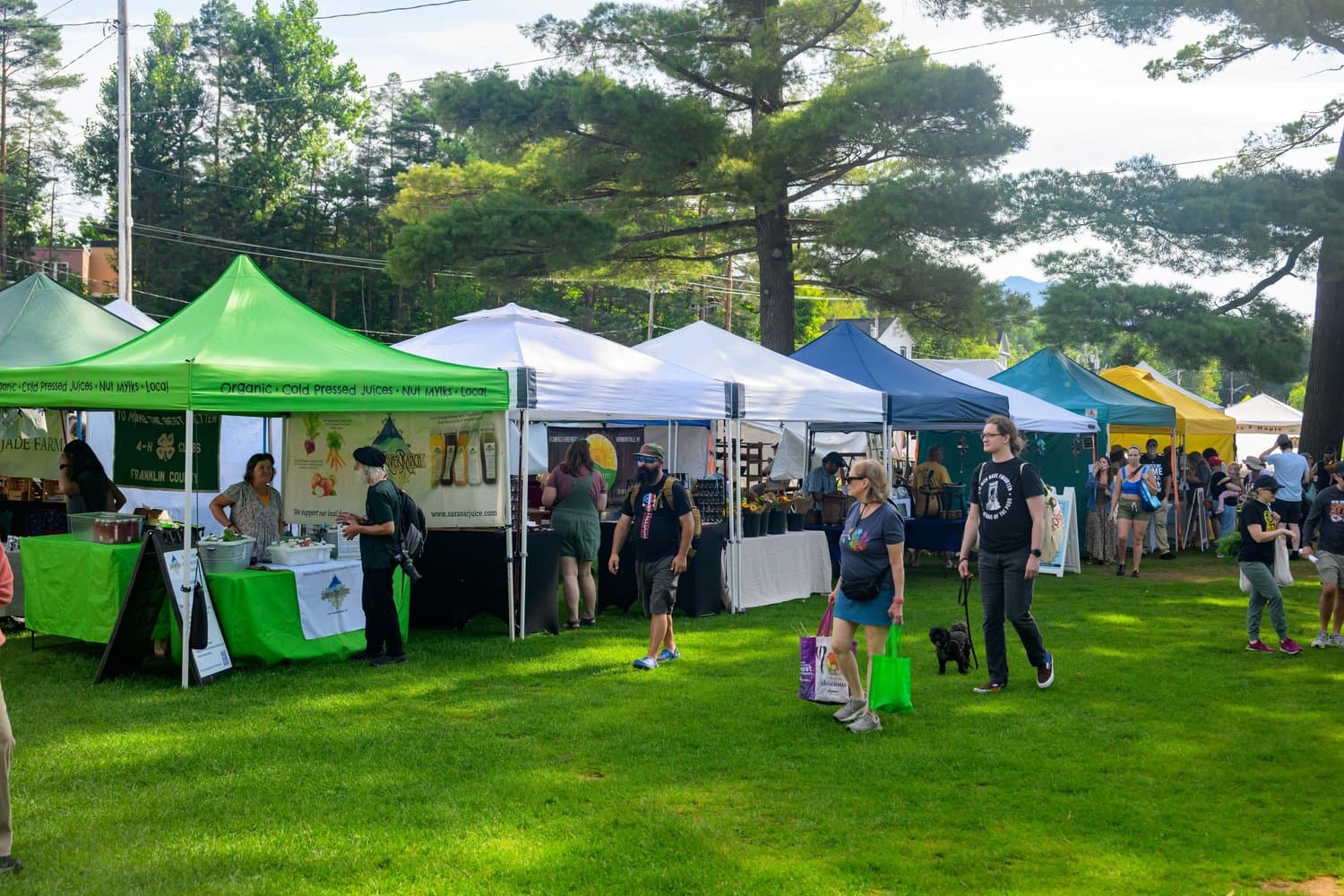 Saranac Lake Winter Farmers' Market & Park-It photo 2