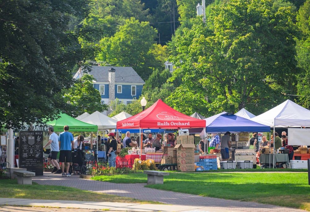 Saranac Lake Winter Farmers' Market & Park-It photo 3