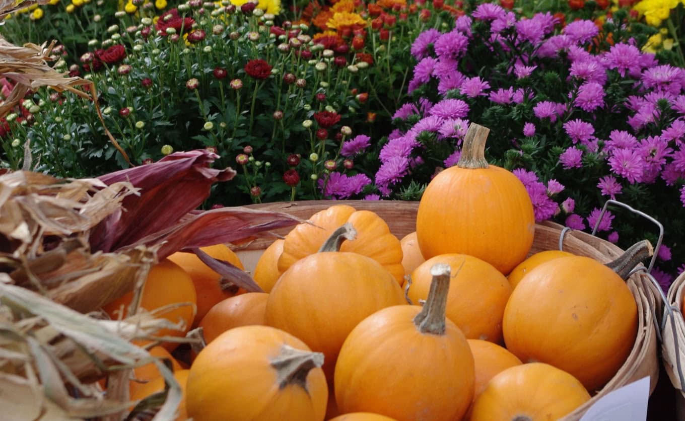 White Plains Farmers' Market