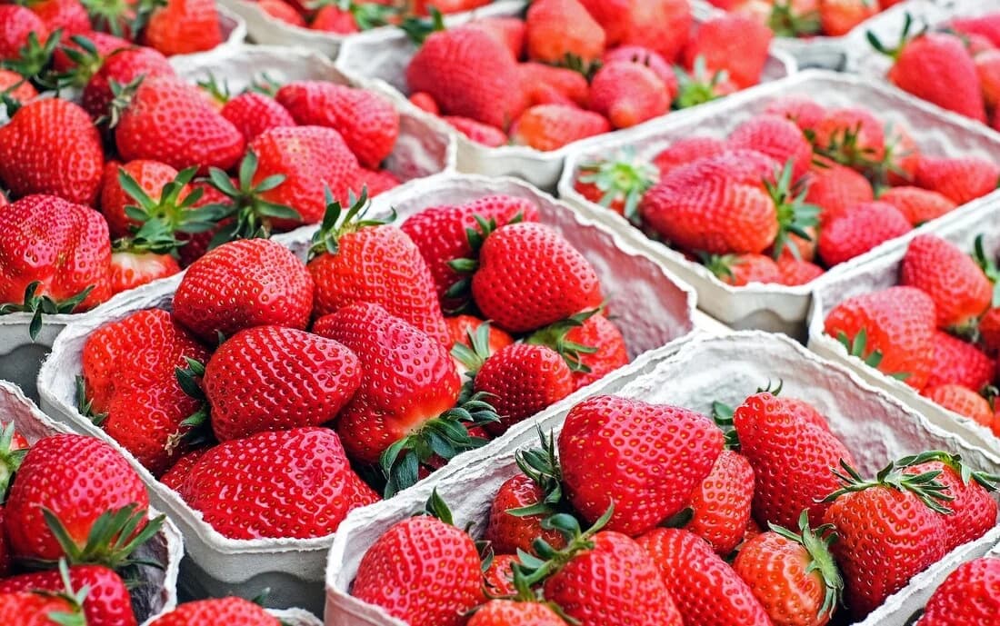 Vermillion Area Farmers Market photo 2