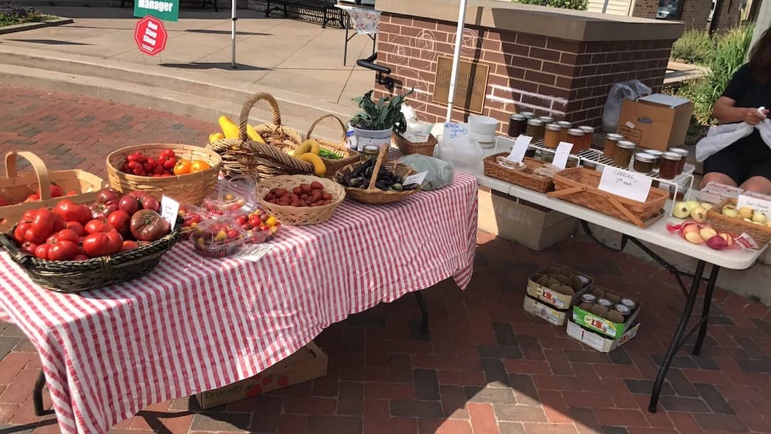 Vermillion Area Farmers Market photo 4