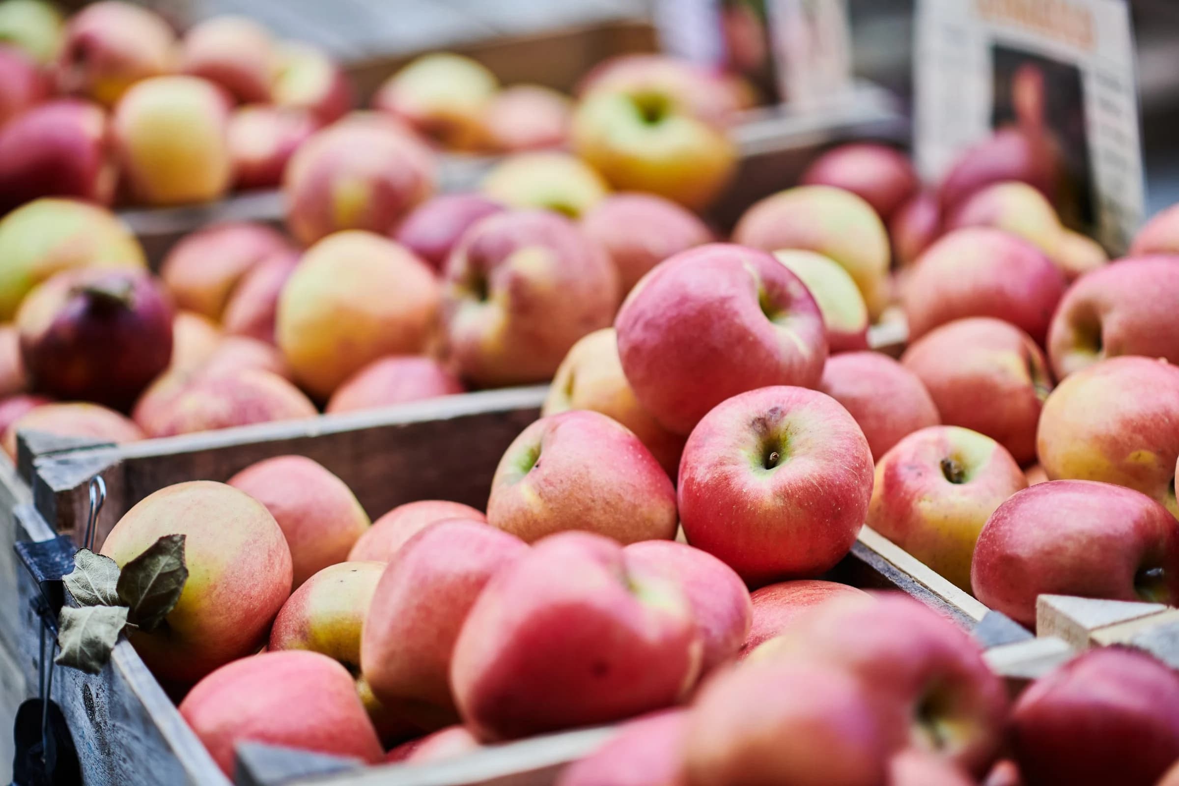 Baltimore Farmers' Market photo 5