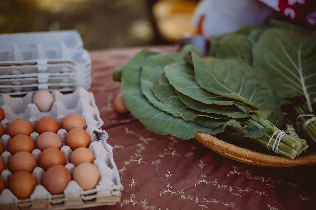 Neskowin Farmers Market photo 3