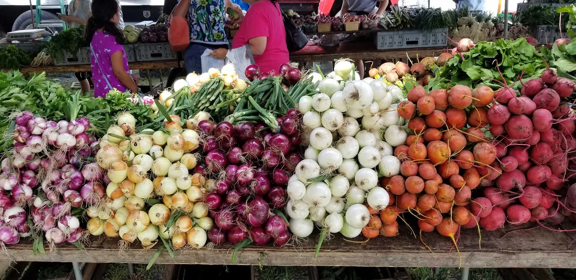 Florida NY Farmers Market photo 2