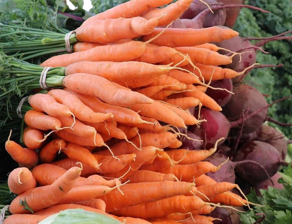 Florida NY Farmers Market photo 3